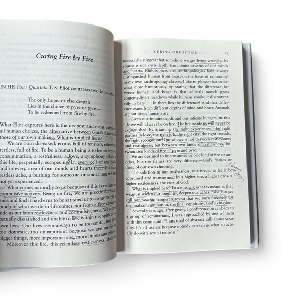 Forgotten Among the Lilies by Ronald Rolheiser - Picture 5 of 7